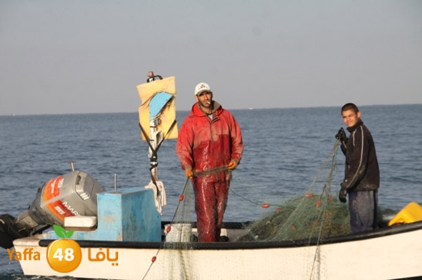 sayyadnewyaffa3 (22).JPG